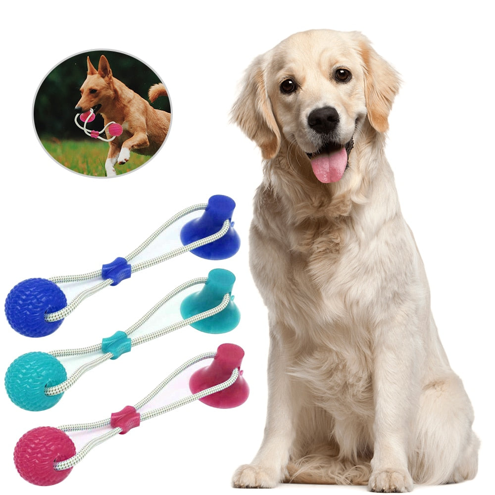 Secure Pet Products Outdoor Throw Molar Bite Toy Stick Teeth Clean Vent  Nibble Accompany Self Play Dog Dental Chew Toys Puppy - China Dog Chew Toy  and Dog Dental Chew Toy price